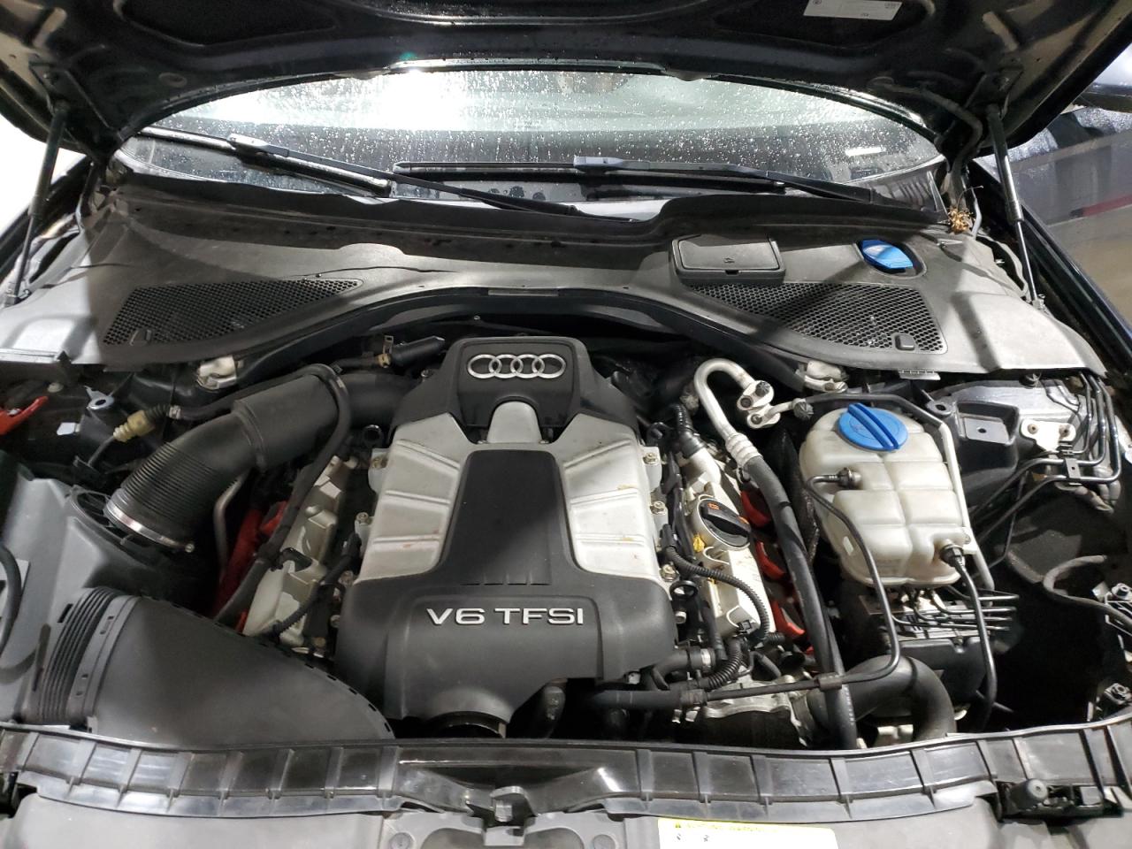 IV (C7) IV (C7)