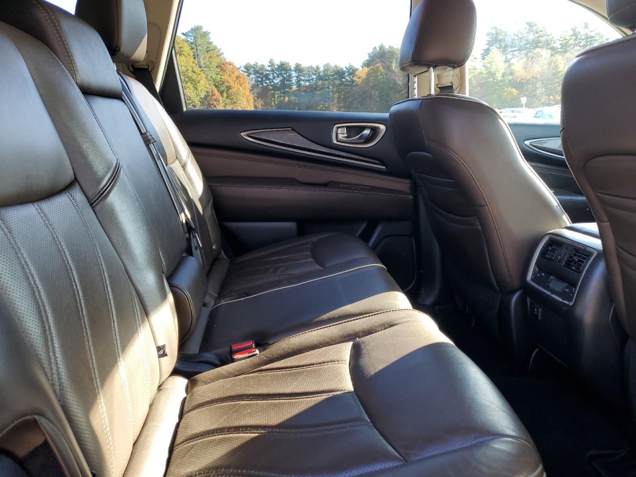 2017 Infiniti Qx60 VIN: 5N1DL0MM6HC528248 Lot: 82761545