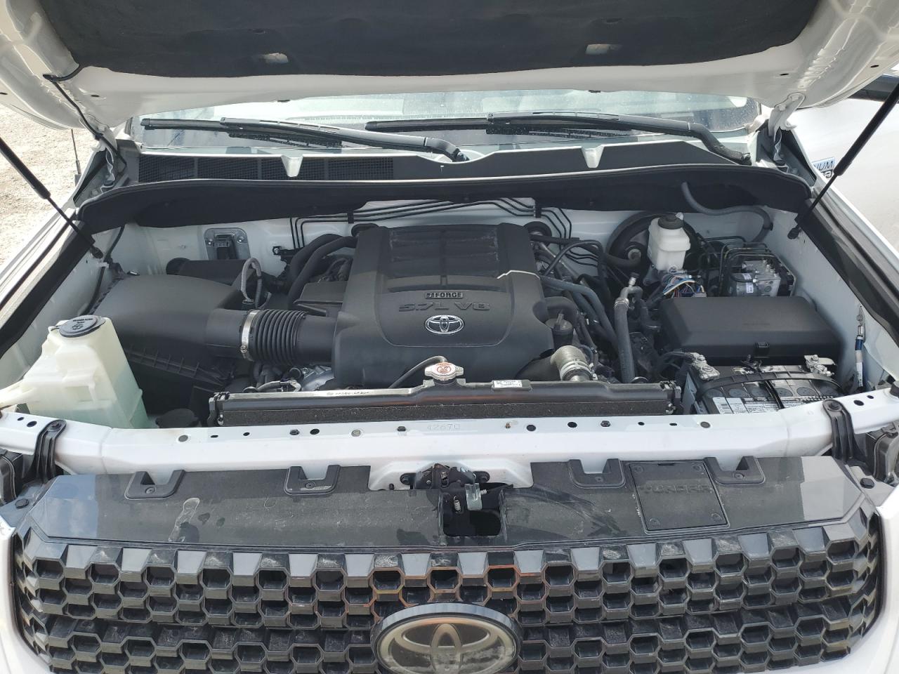 2019 Toyota Tundra Crewmax 1794 VIN: 5TFAY5F13KX795114 Lot: 82403205