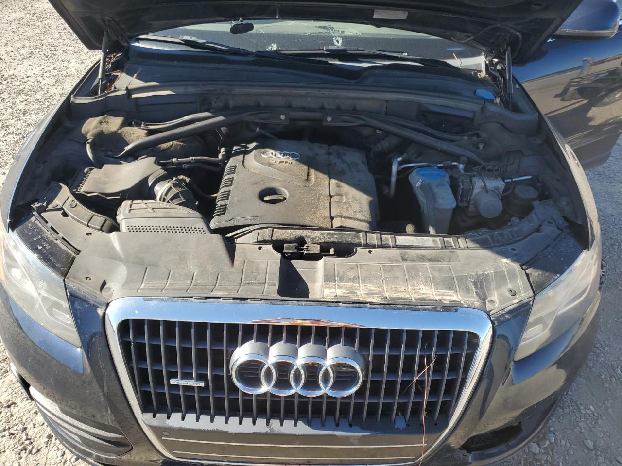 2011 Audi Q5 Premium Plus VIN: WA1LFAFP5BA048946 Lot: 82710615