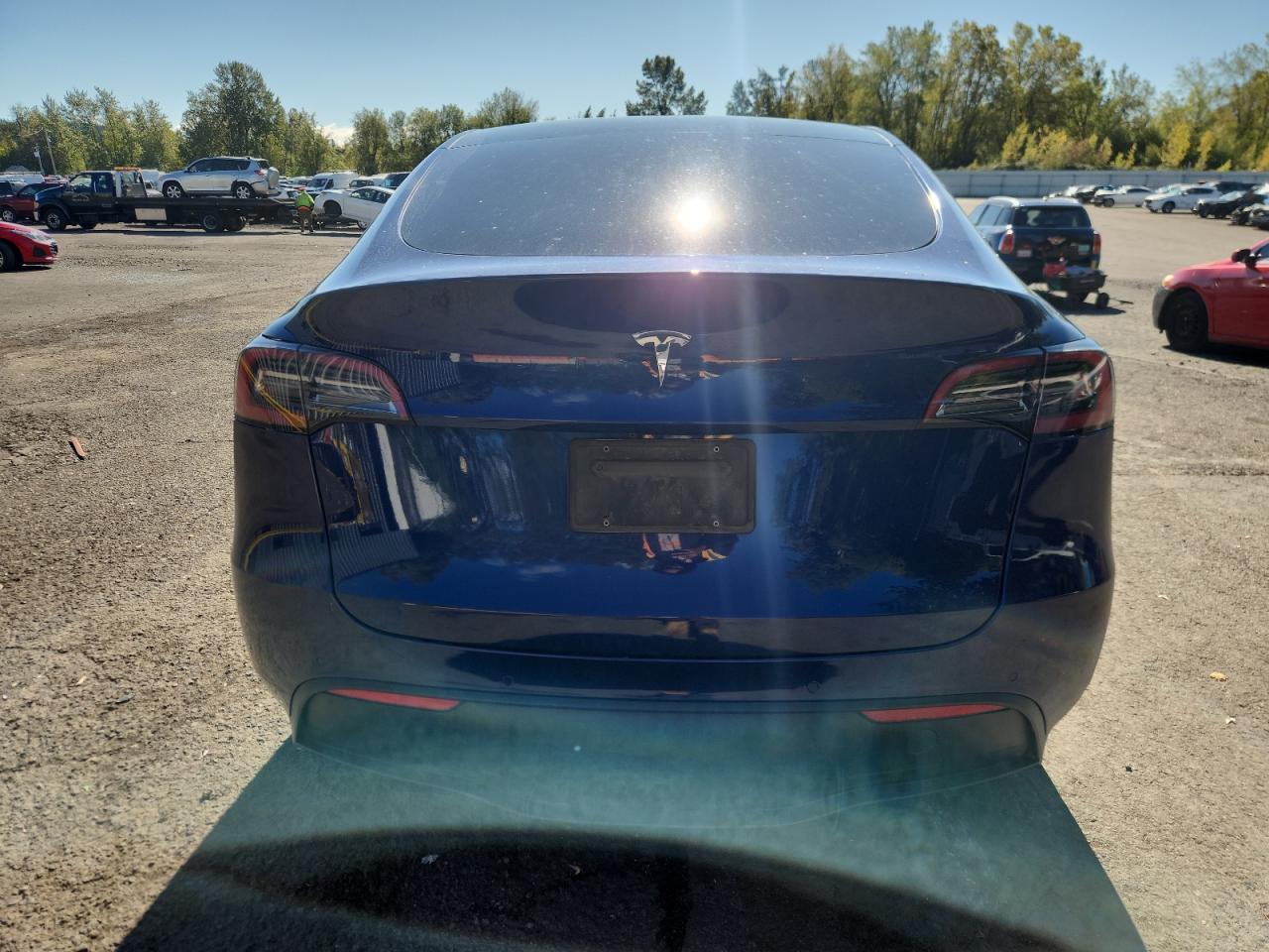 2022 Tesla Model Y VIN: 7SAYGDEE2NF496232 Lot: 82440705