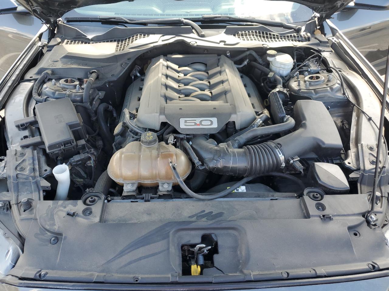 2017 Ford Mustang Gt VIN: 1FA6P8CF8H5323611 Lot: 82204795