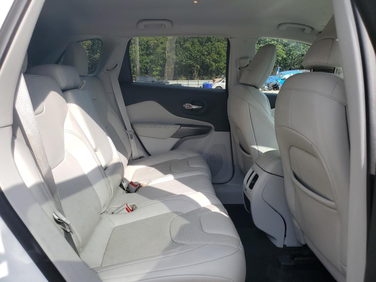 2020 Jeep Cherokee Limited VIN: 1C4PJLDB5LD560683 Lot: 85258885