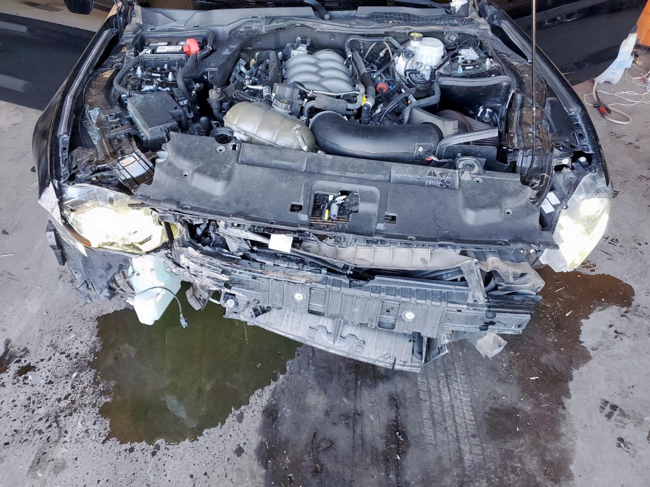 2019 Ford Mustang Gt VIN: 1FA6P8CF8K5166752 Lot: 81967125