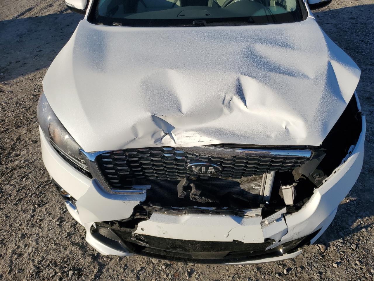 2019 Kia Sorento Sx VIN: 5XYPK4A54KG456686 Lot: 86245445