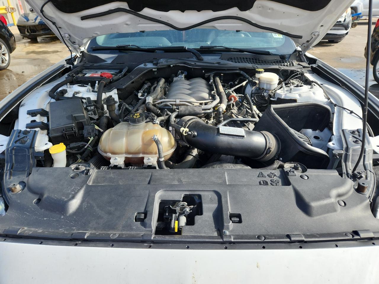 2019 Ford Mustang Gt VIN: 1FA6P8CFXK5151637 Lot: 89468255