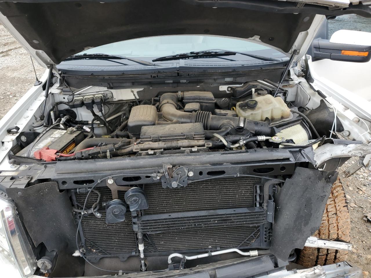 2010 Ford F150 Supercrew VIN: 1FTFW1EV4AFC21117 Lot: 90336735