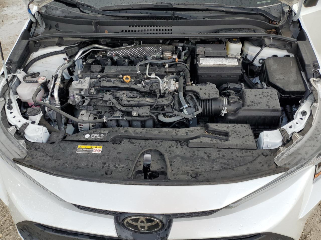 2023 Toyota Corolla Le VIN: 5YFB4MDE7PP004184 Lot: 81720425