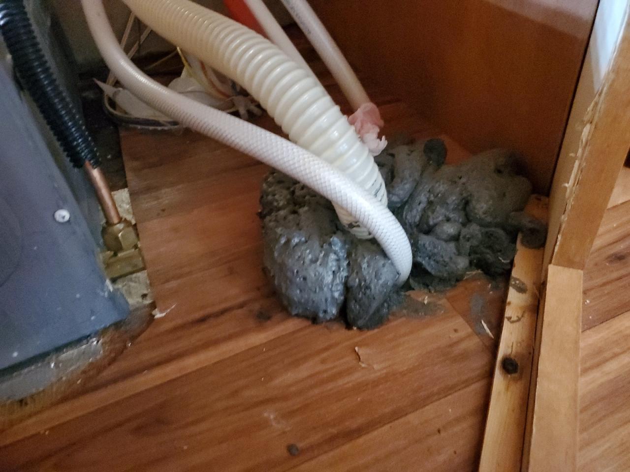 2010 Puma Puma VIN: 4X4TPUM2XAP027947 Lot: 71067225