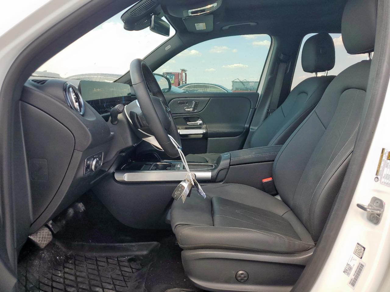 2024 Mercedes-Benz Eqb 250+ VIN: W1N9M0CB3RN077799 Lot: 81973155