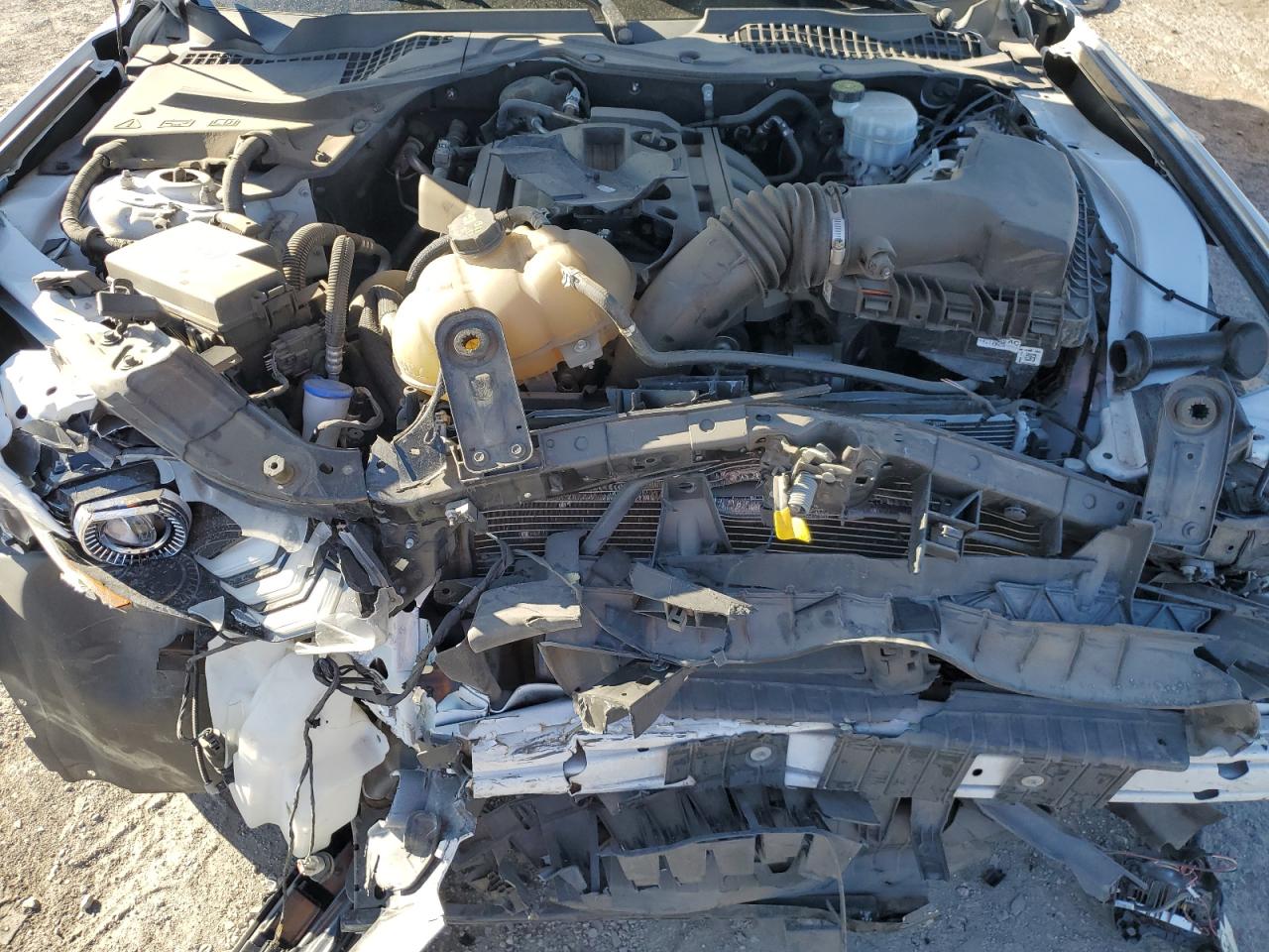 2020 Ford Mustang VIN: 1FA6P8TH3L5176964 Lot: 82510935