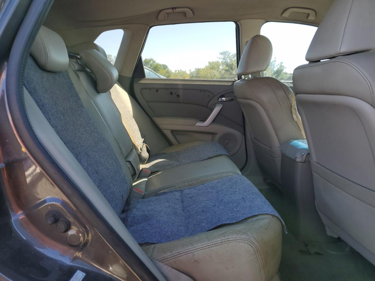 2009 Acura Rdx Technology VIN: 5J8TB18589A007610 Lot: 85516265