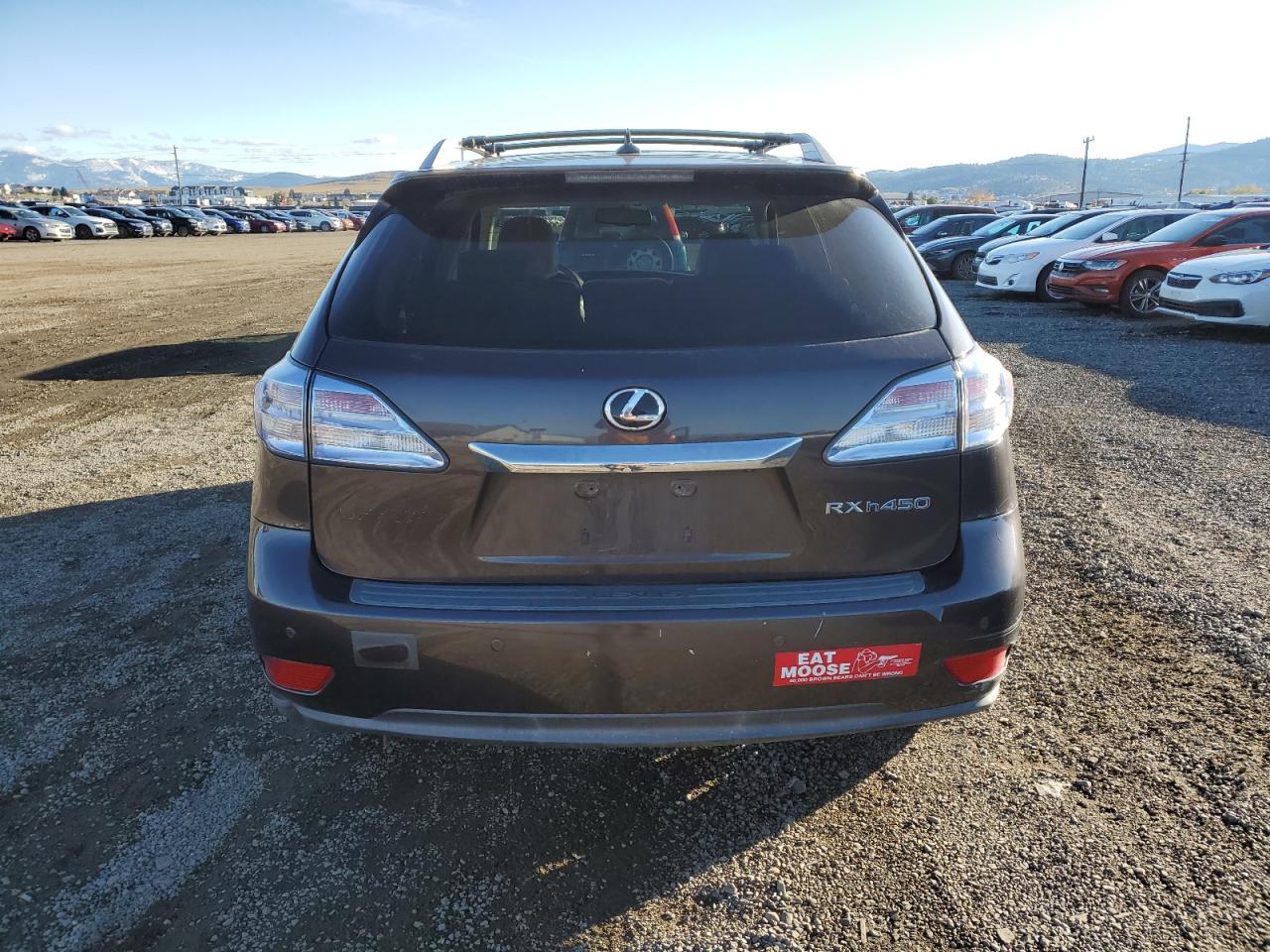 2010 Lexus Rx 450H VIN: JTJBC1BA8A2025551 Lot: 82453715
