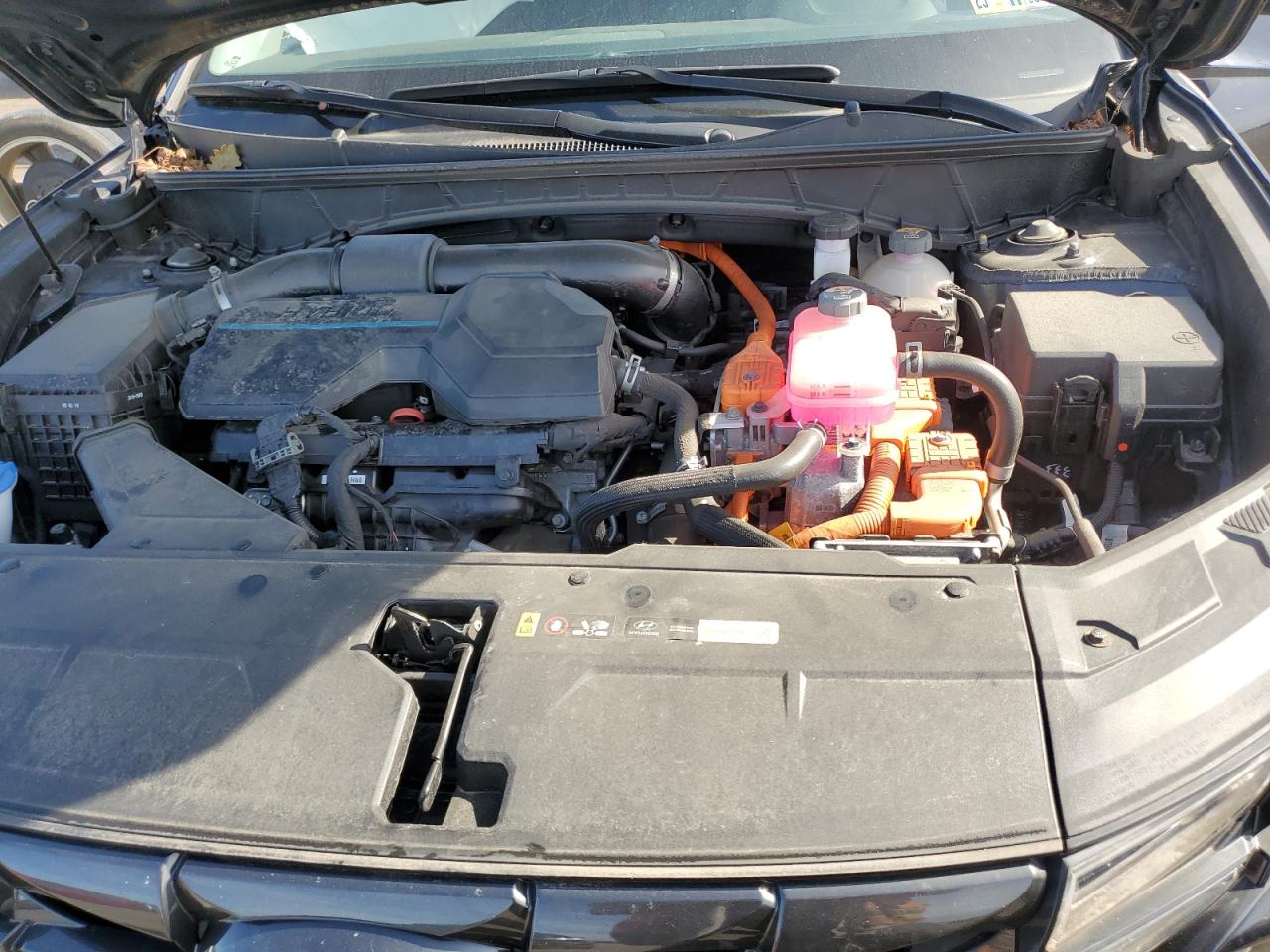 2022 Hyundai Tucson Blue VIN: KM8JBCA18NU082272 Lot: 82197725