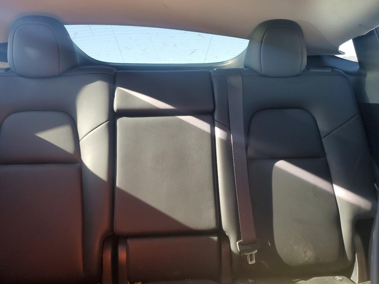 2024 Tesla Model Y VIN: 7SAYGDEE3RF031934 Lot: 85831635