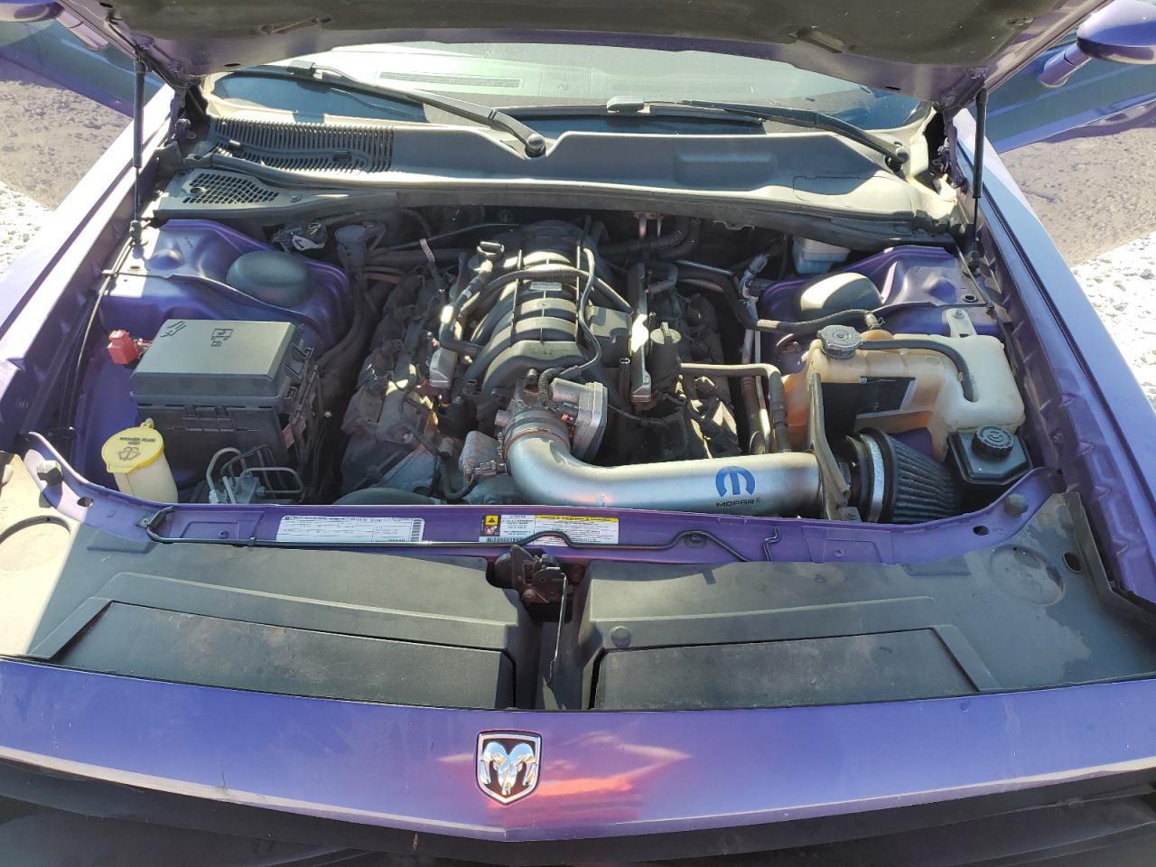 2010 Dodge Challenger R/T VIN: 2B3CJ5DT1AH175030 Lot: 84941425