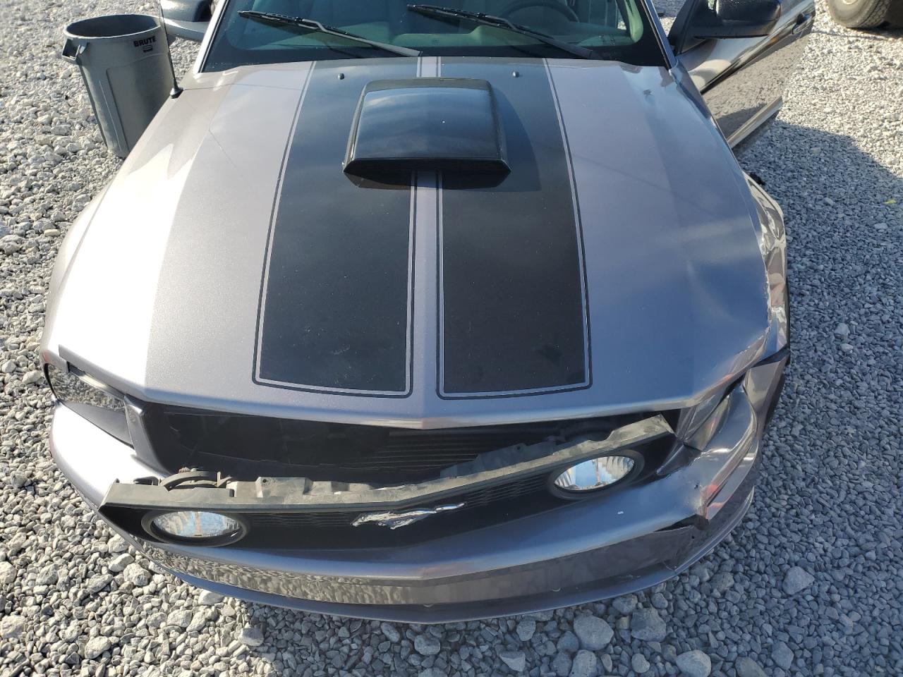 2006 Ford Mustang Gt VIN: 1ZVFT85H565211573 Lot: 85194795