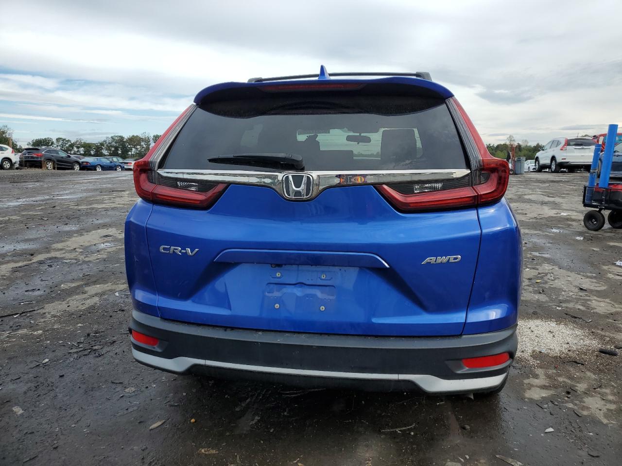 2020 Honda Cr-V Ex VIN: 7FARW2H59LE014202 Lot: 82351325