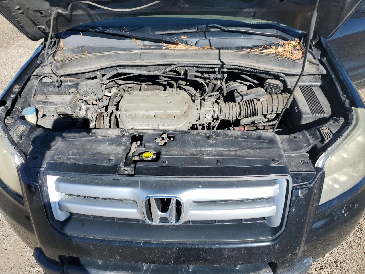 2007 Honda Pilot Ex VIN: 5FNYF18447B018141 Lot: 85525935