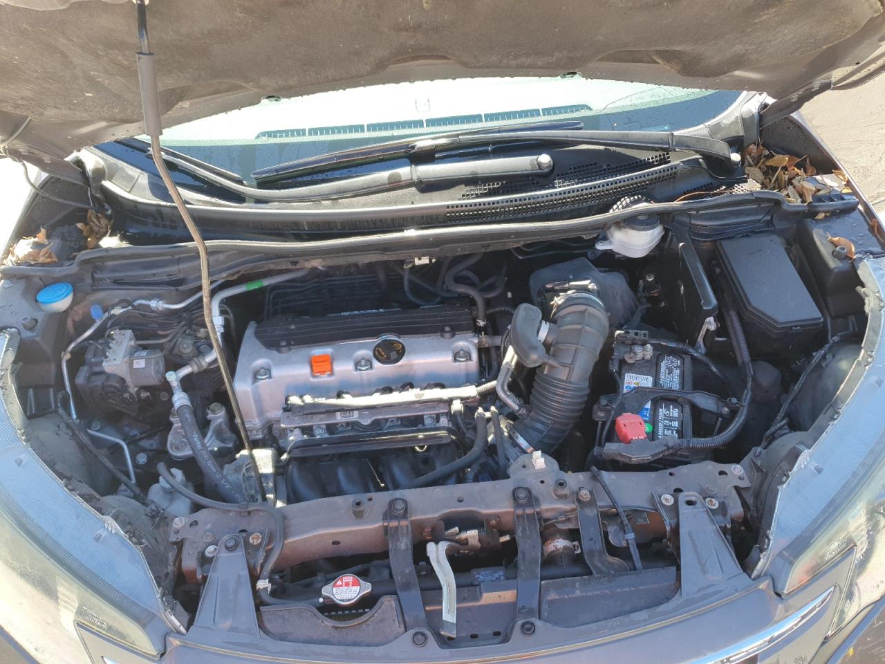 2014 Honda Cr-V Ex VIN: 2HKRM3H59EH513268 Lot: 89851665