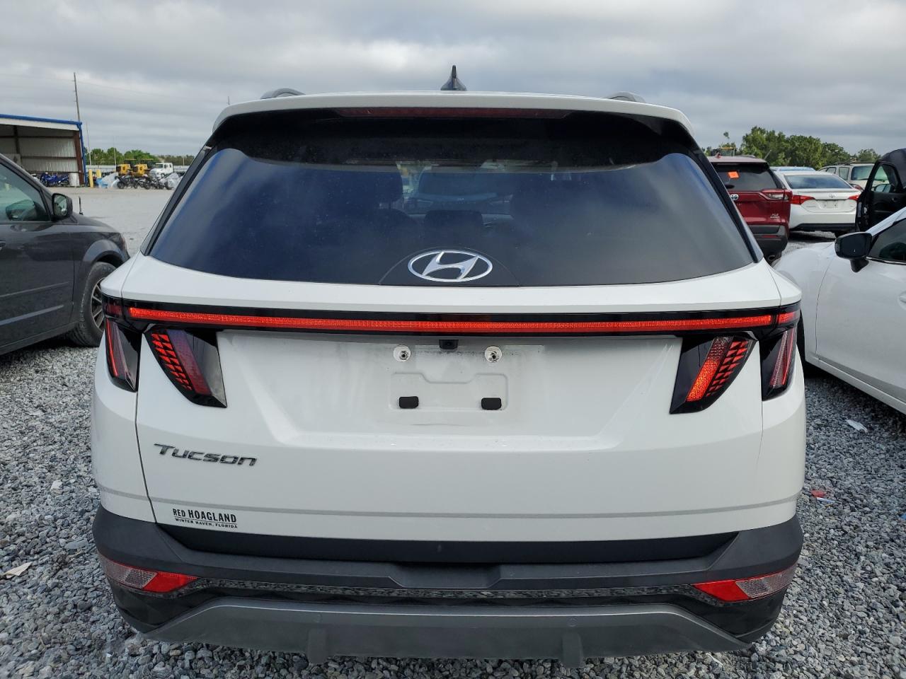 2023 Hyundai Tucson Limited VIN: 5NMJE3AE5PH181110 Lot: 85946175