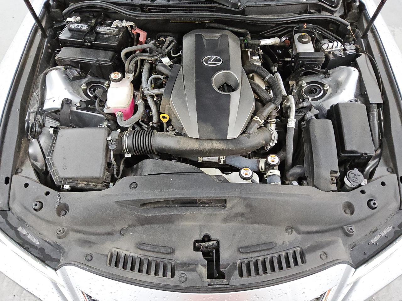 2023 Lexus Is 300 VIN: JTHCA1D23P5125534 Lot: 89475445