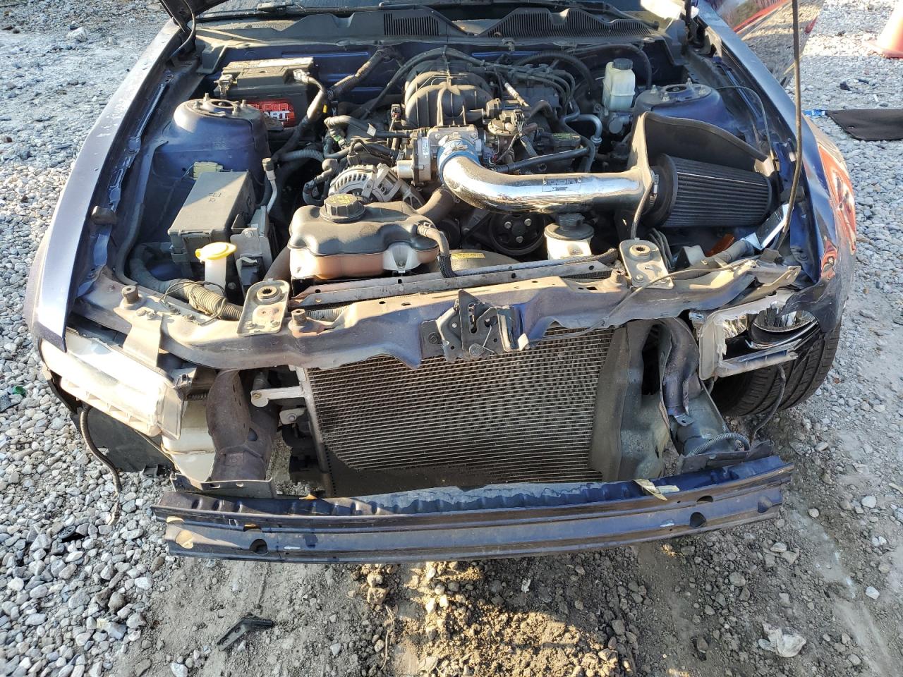 2010 Ford Mustang VIN: 1ZVBP8AN6A5168840 Lot: 84063965