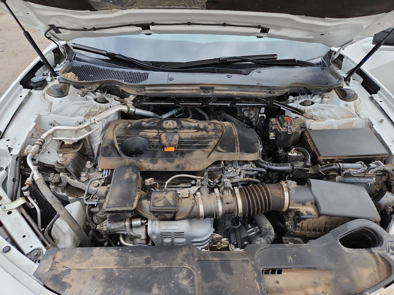 2023 Acura Tlx VIN: 19UUB5F30PA006543 Lot: 89920575