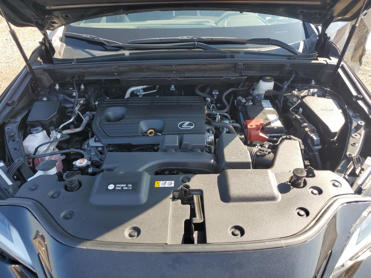 2024 Lexus Nx 250 Base VIN: 2T2ADCAZ6RC012921 Lot: 82652865