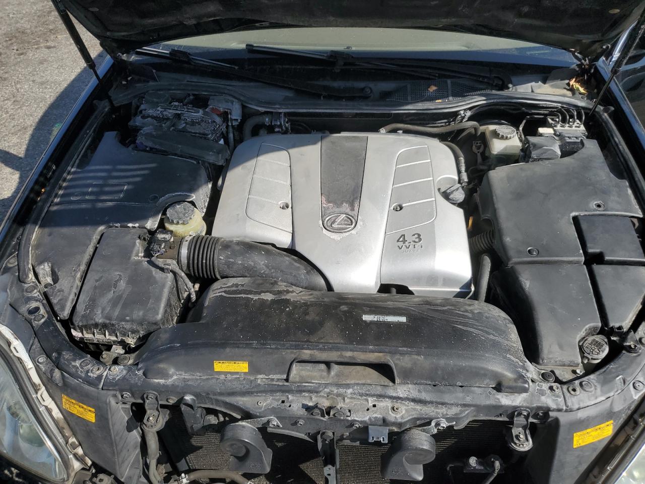 2004 Lexus Ls 430 VIN: JTHBN36F840149624 Lot: 82701265