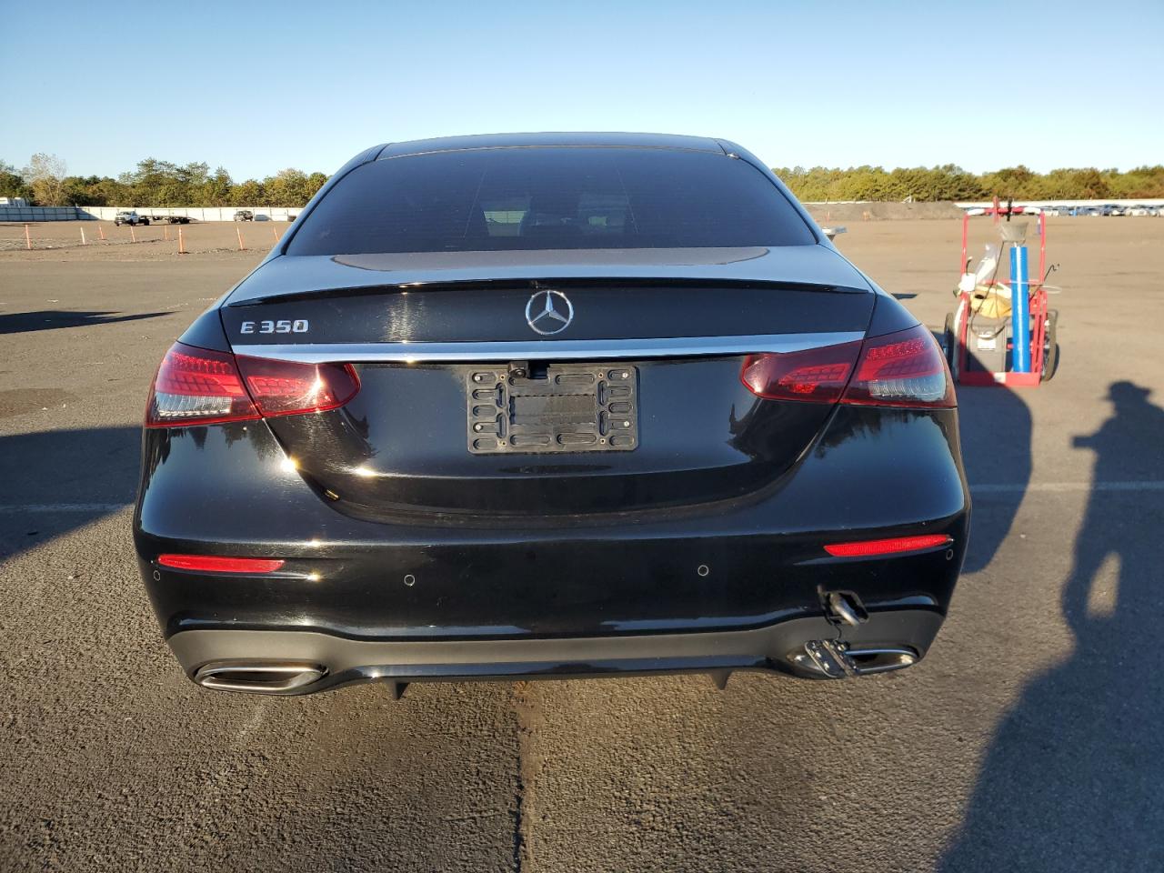 V (W213, S213, C238) V (W213, S213, C238)