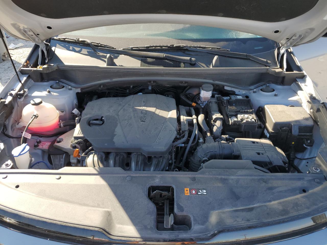 2024 Kia Sportage X Line VIN: 5XYK6CDF2RG225261 Lot: 82351655