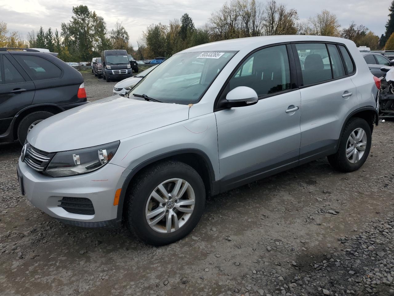 2013 Volkswagen Tiguan S