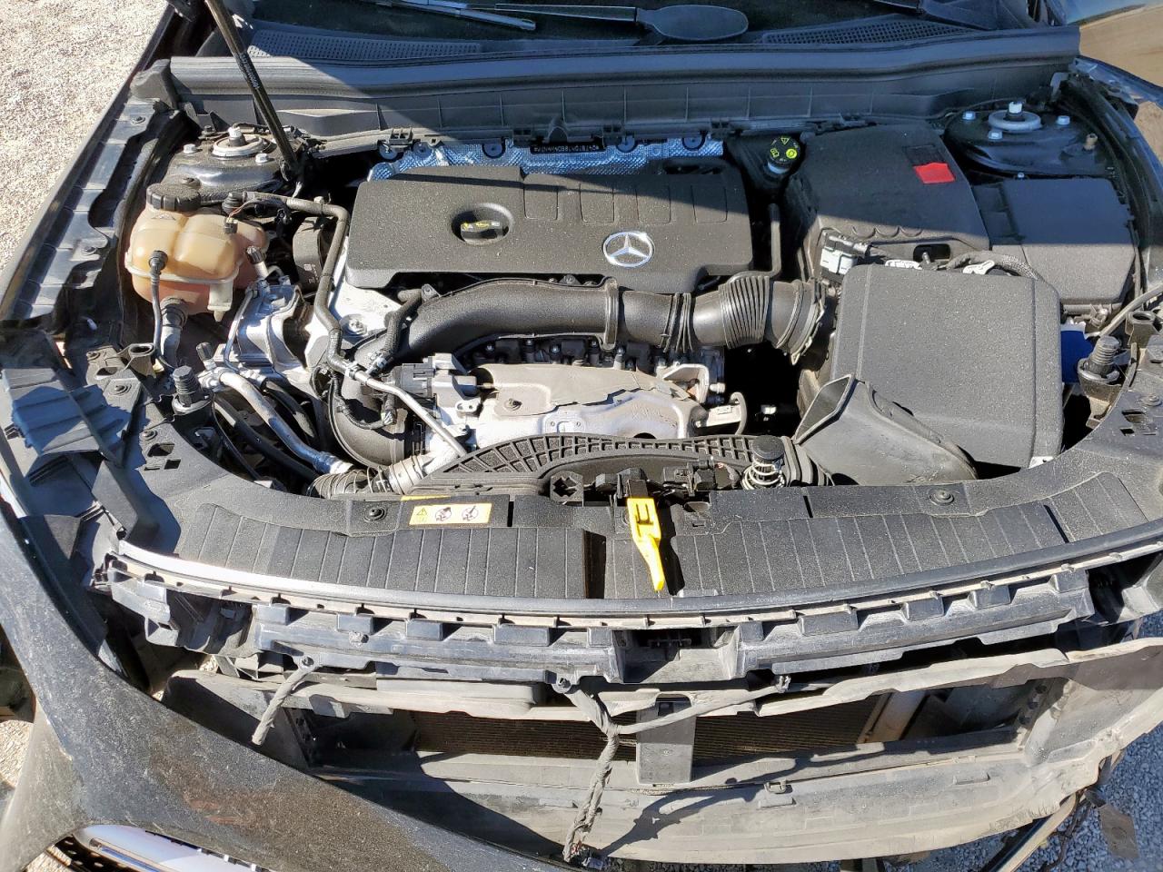 Фото: W1N4M4GB8LW016140