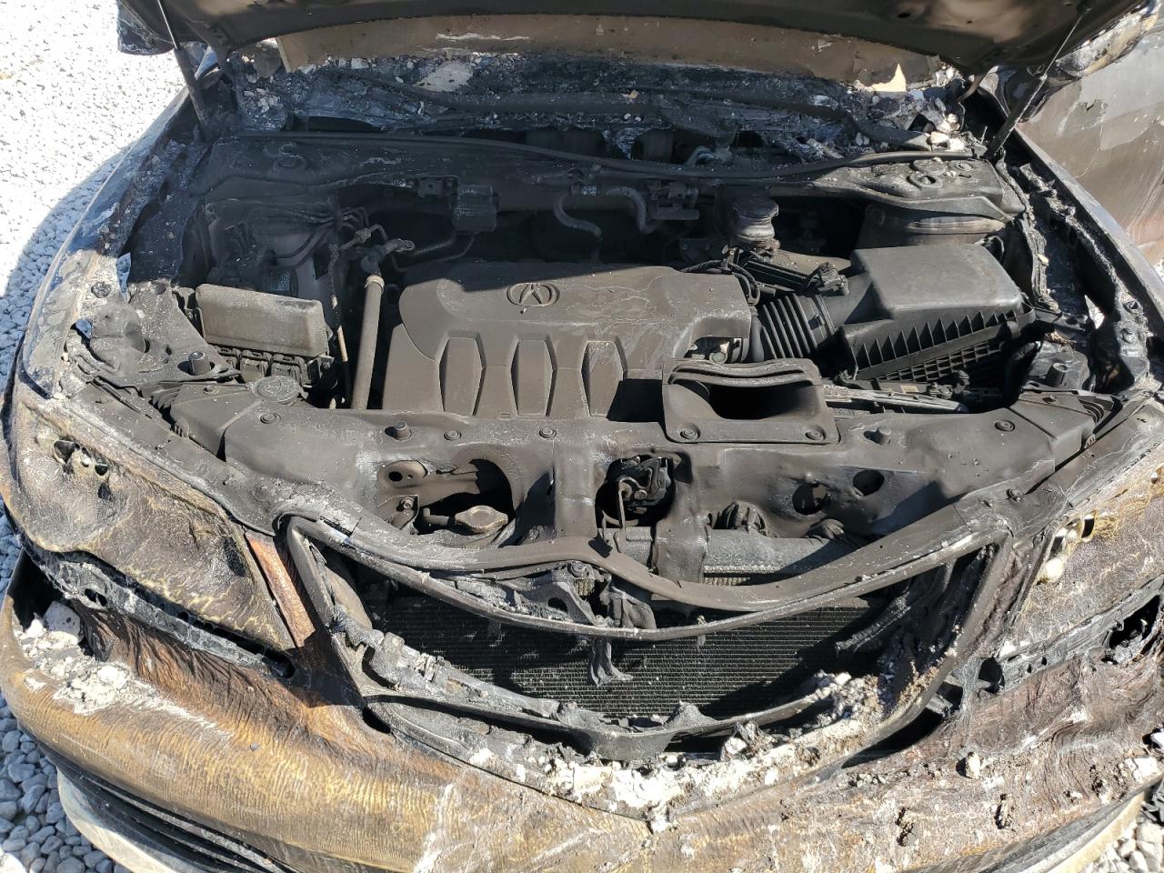 2017 Acura Rdx VIN: 5J8TB3H31HL010281 Lot: 81978945