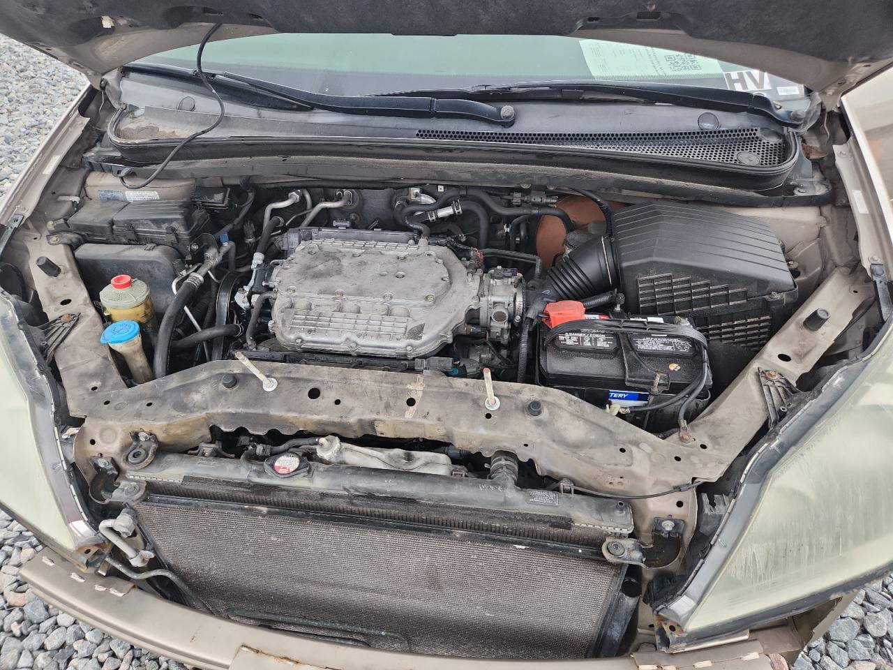 2005 Honda Odyssey Exl VIN: 5FNRL38725B084932 Lot: 86071435