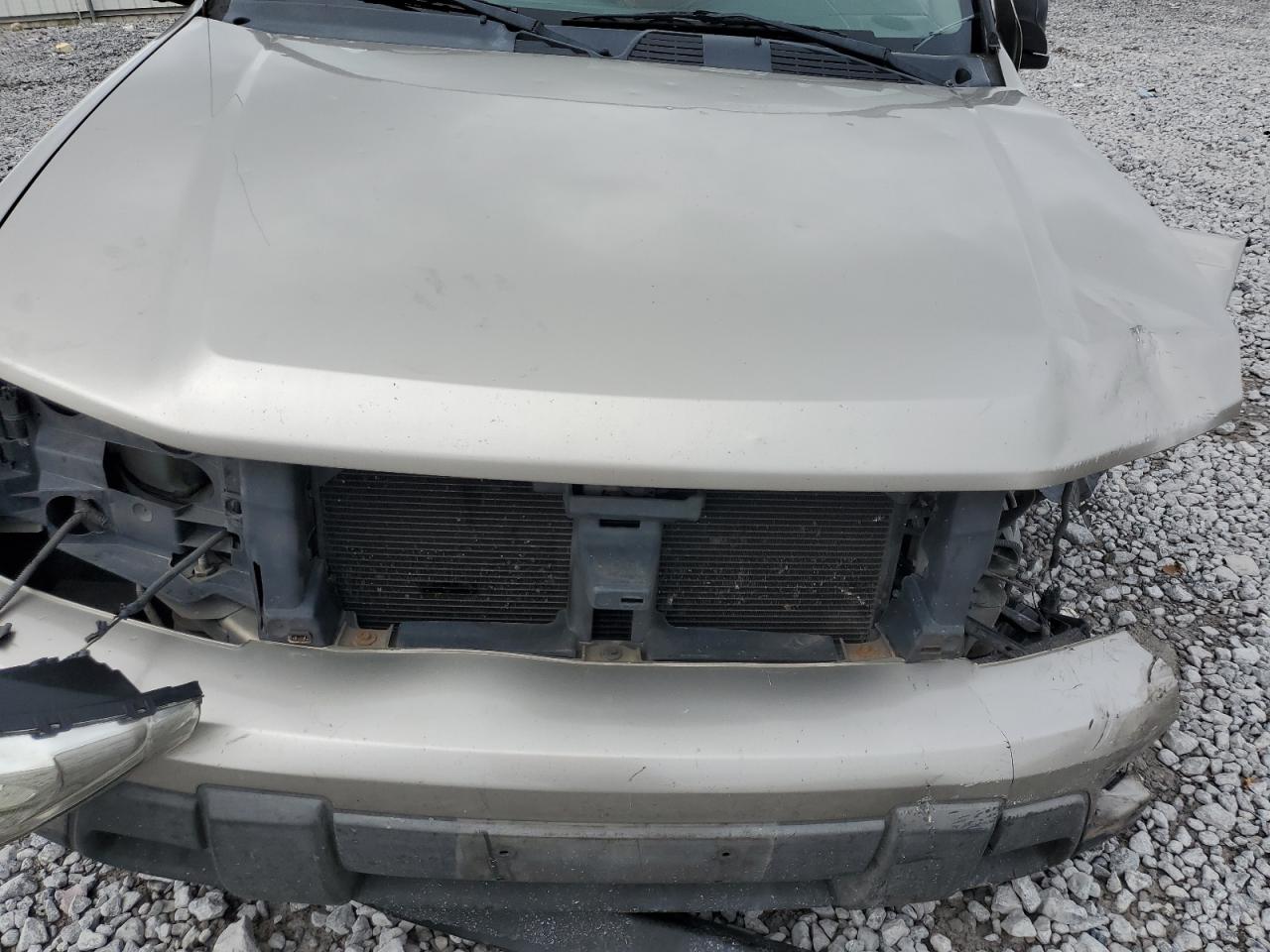 2003 Chevrolet Trailblazer VIN: 1GNDS13S132249289 Lot: 85521935