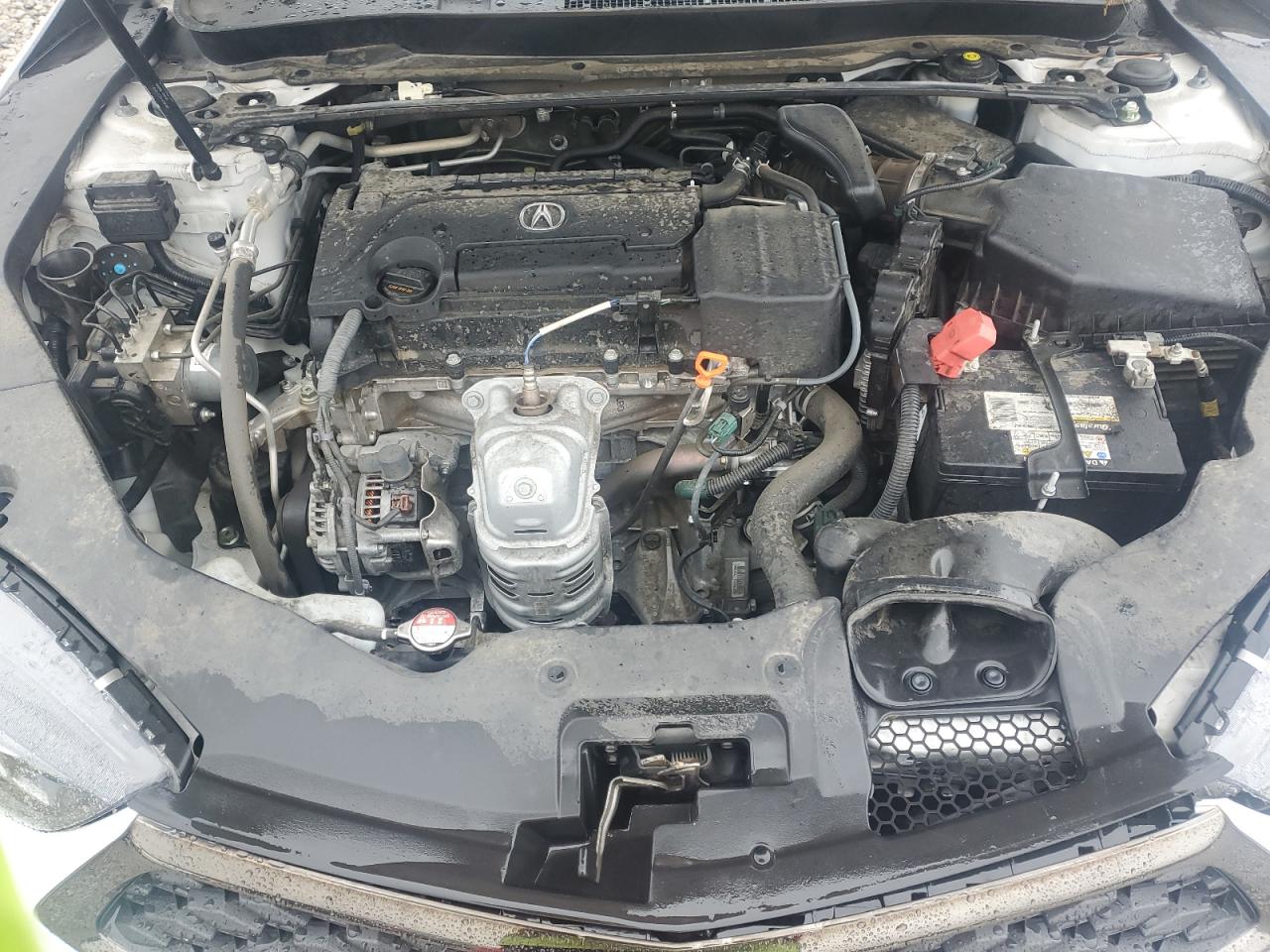 2020 Acura Tlx Technology VIN: 19UUB1F67LA013048 Lot: 90608055