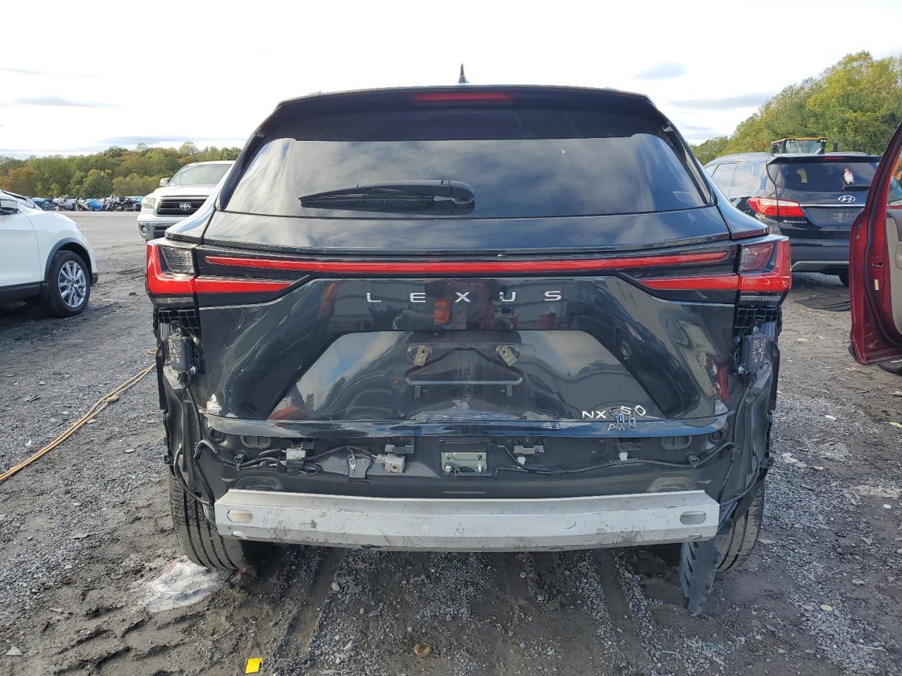 2022 Lexus Nx 350 VIN: 2T2GGCEZXNC015620 Lot: 86492415