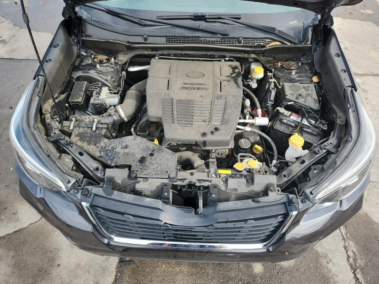 2019 Subaru Forester Limited VIN: JF2SKAUC1KH418408 Lot: 90347485