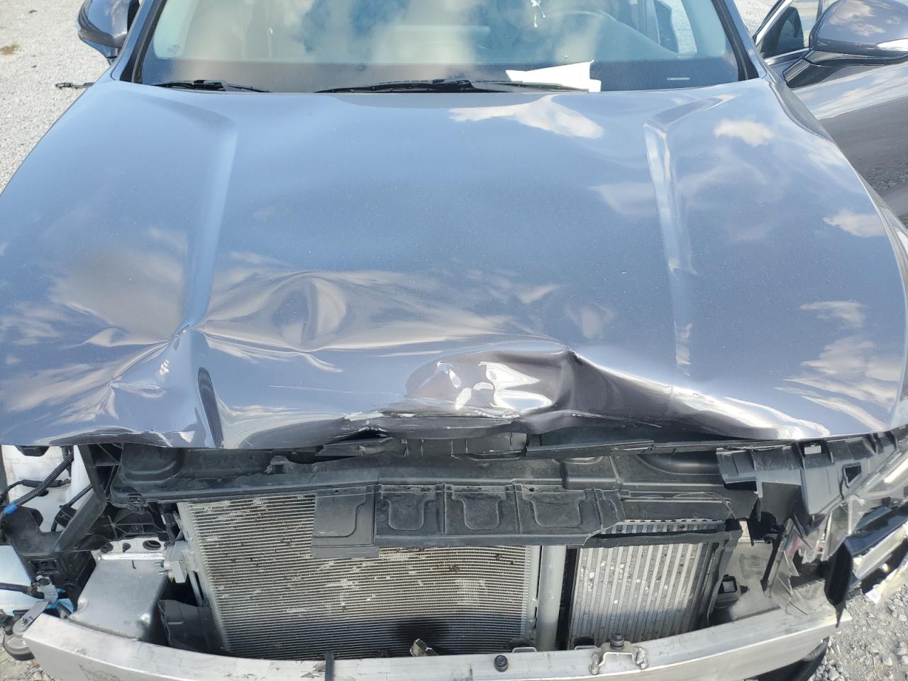 2022 Hyundai Santa Fe Sel Premium VIN: KM8S3DA18NU058433 Lot: 81955995