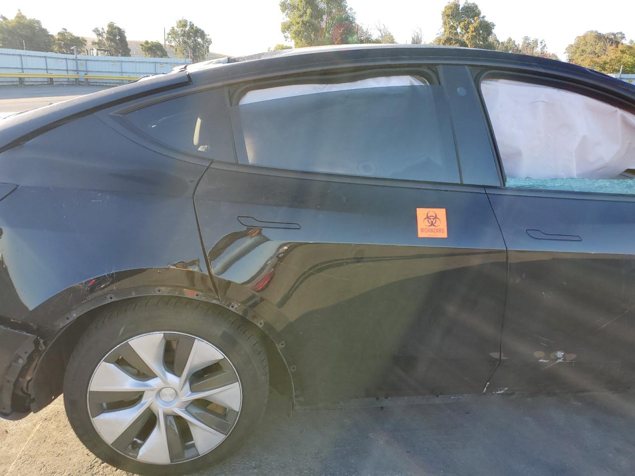 2023 Tesla Model Y VIN: 7SAYGDEE3PF634864 Lot: 90335305