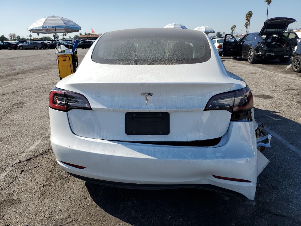 2022 Tesla Model 3 VIN: 5YJ3E1EAXNF117034 Lot: 91035115