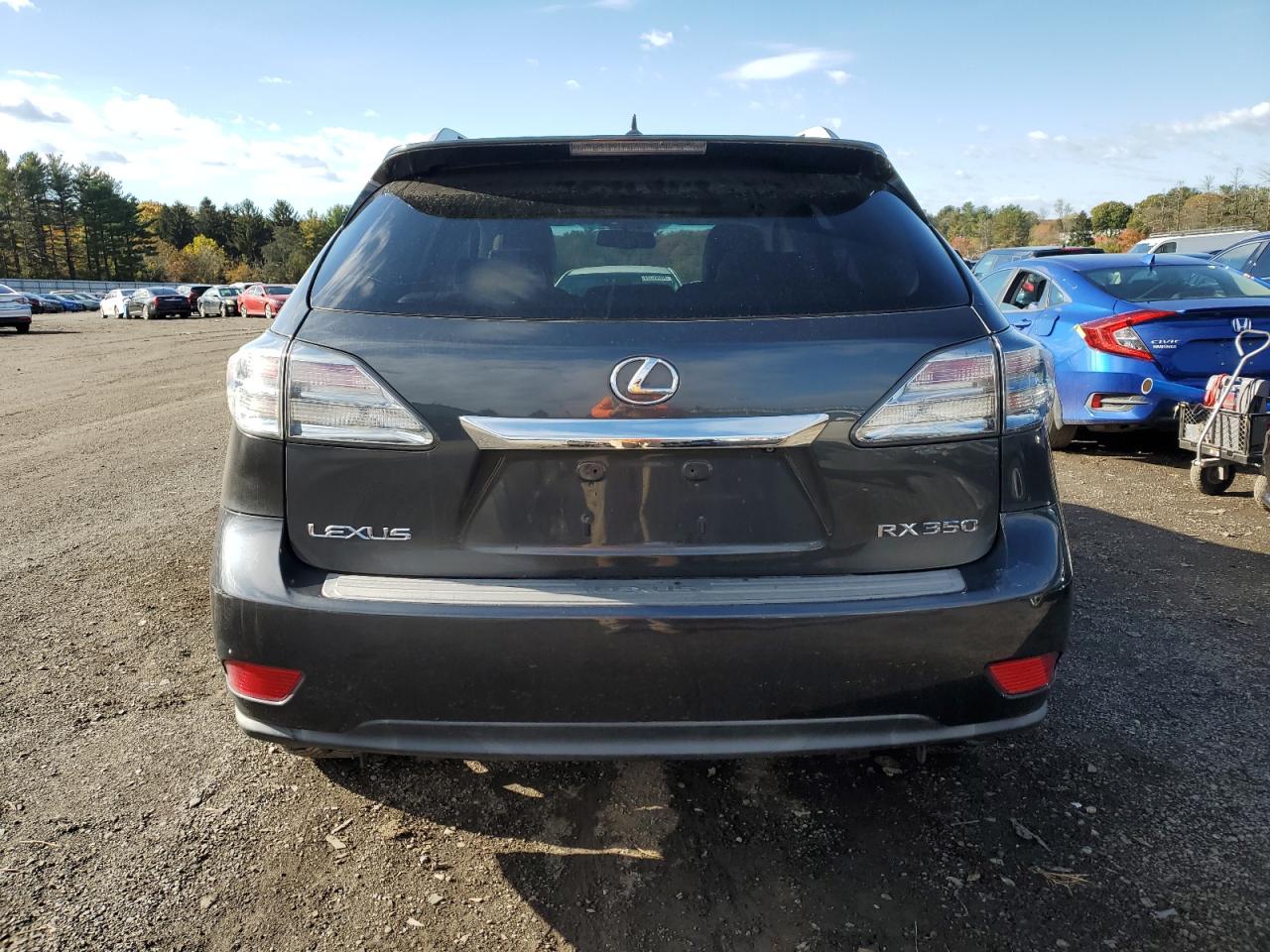 2010 Lexus Rx 350 VIN: 2T2BK1BA1AC078711 Lot: 87373155