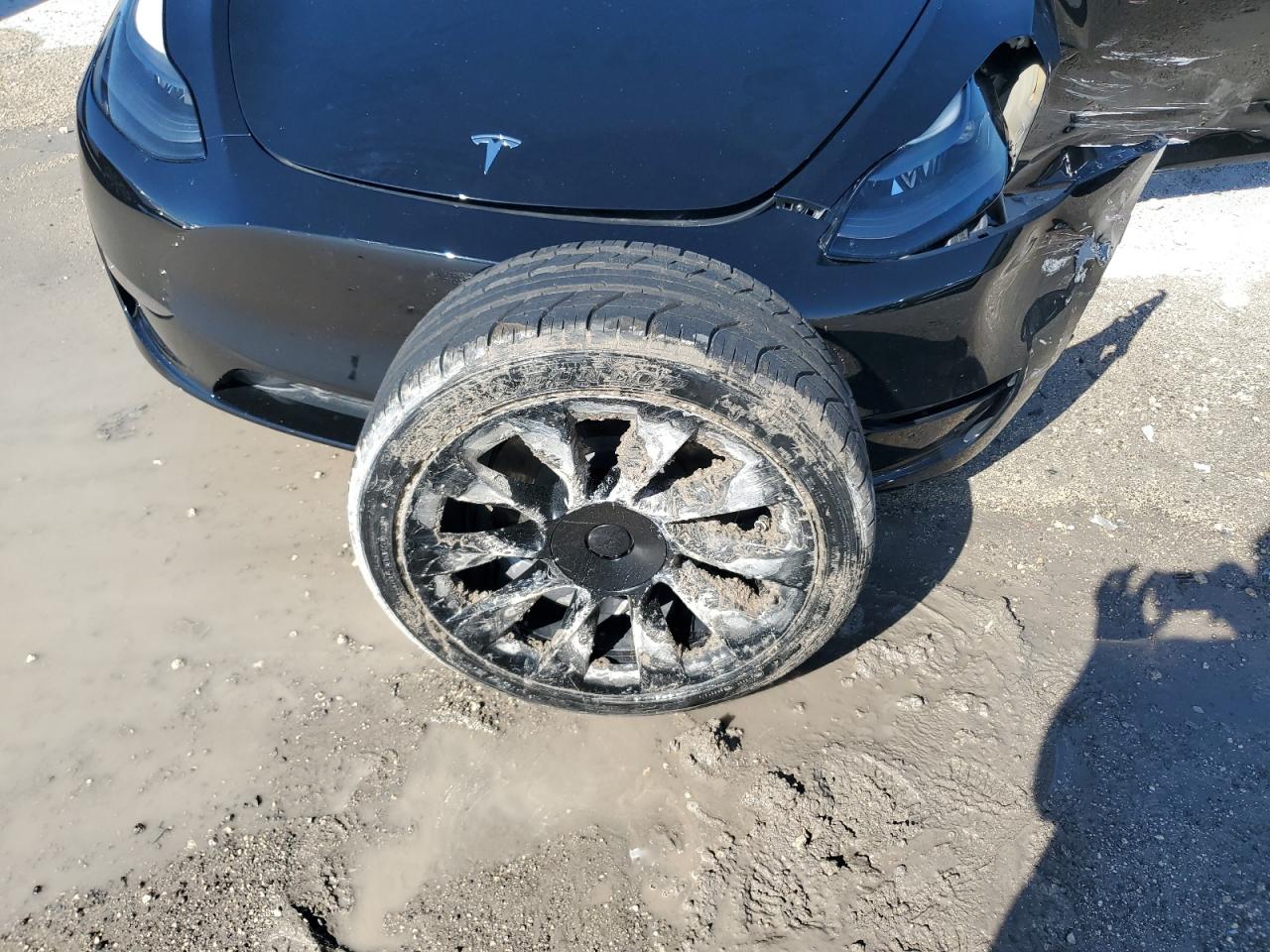 2024 Tesla Model Y VIN: 7SAYGDED9RF089599 Lot: 84059915