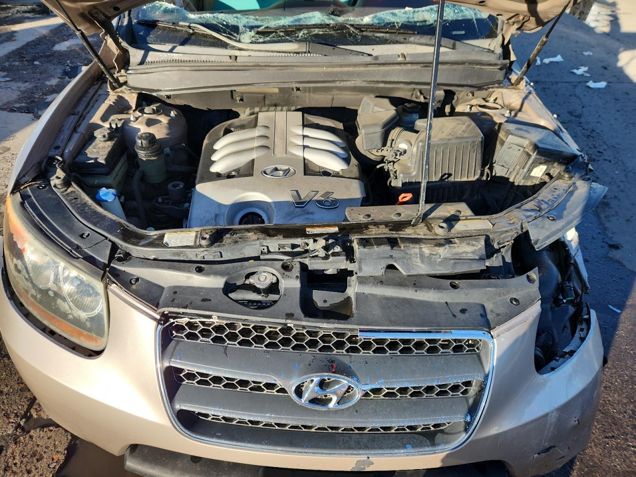 2007 Hyundai Santa Fe Se VIN: 5NMSH73E87H036529 Lot: 85888025