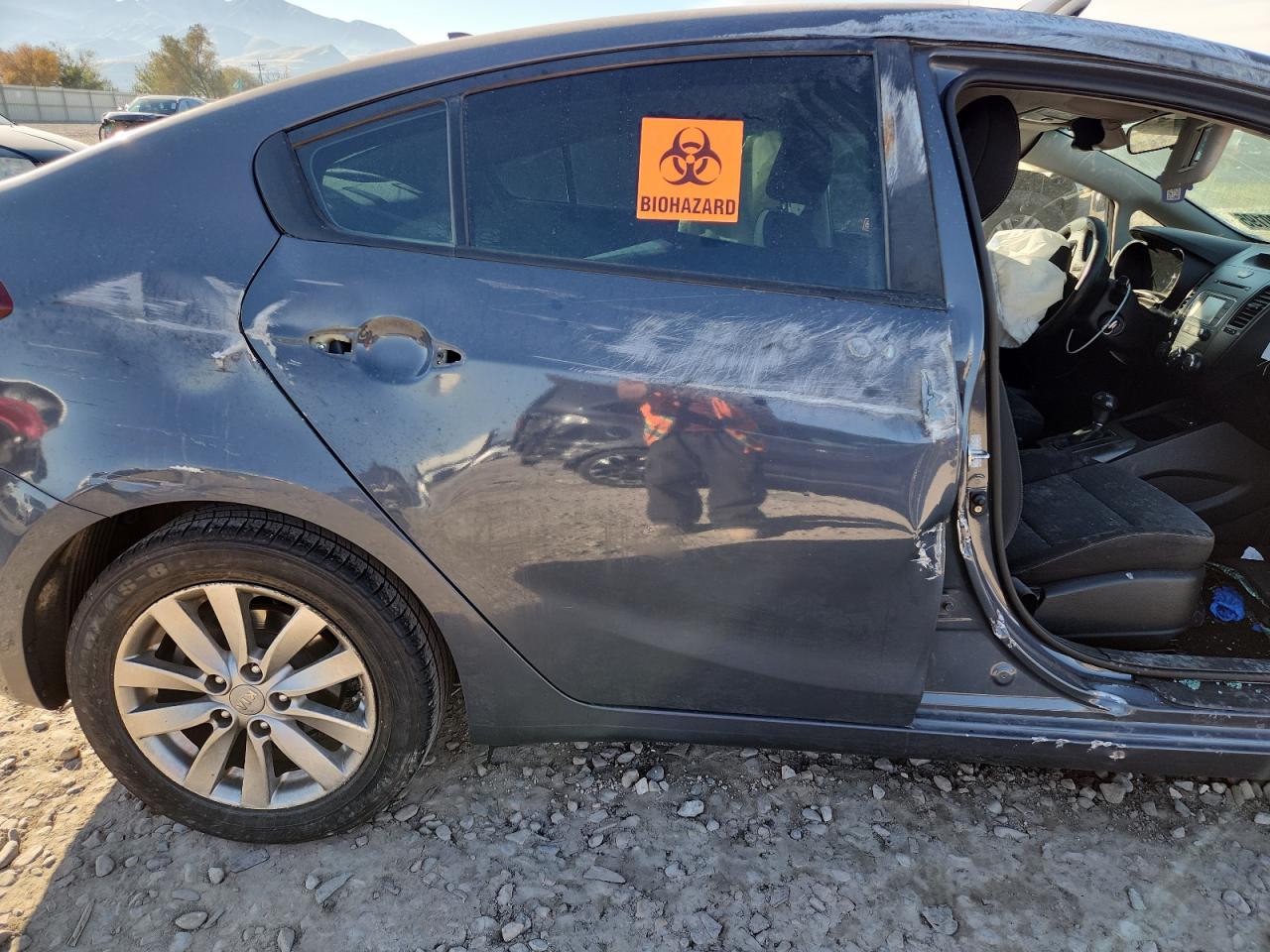 2016 Kia Forte Lx VIN: KNAFX4A62G5507203 Lot: 90130195