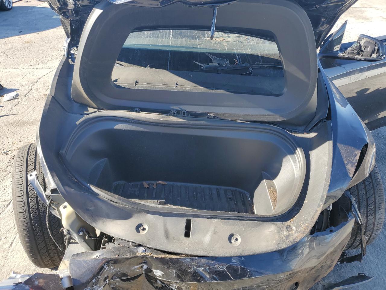 2024 Tesla Model Y VIN: 7SAYGDEE3RF031934 Lot: 85831635