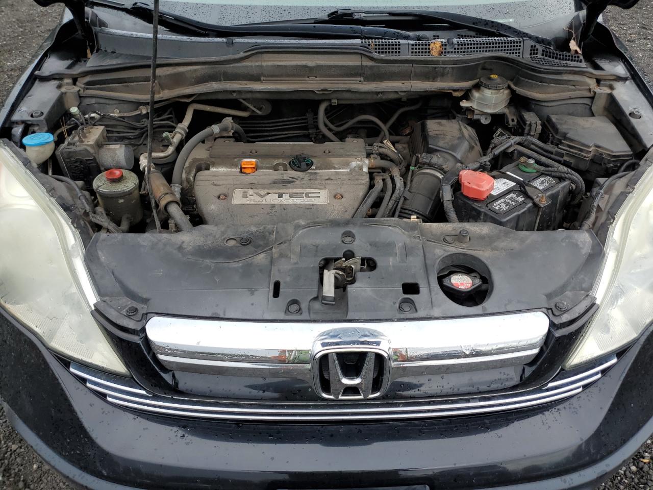 2009 Honda Cr-V Exl VIN: 5J6RE48769L033141 Lot: 85535305