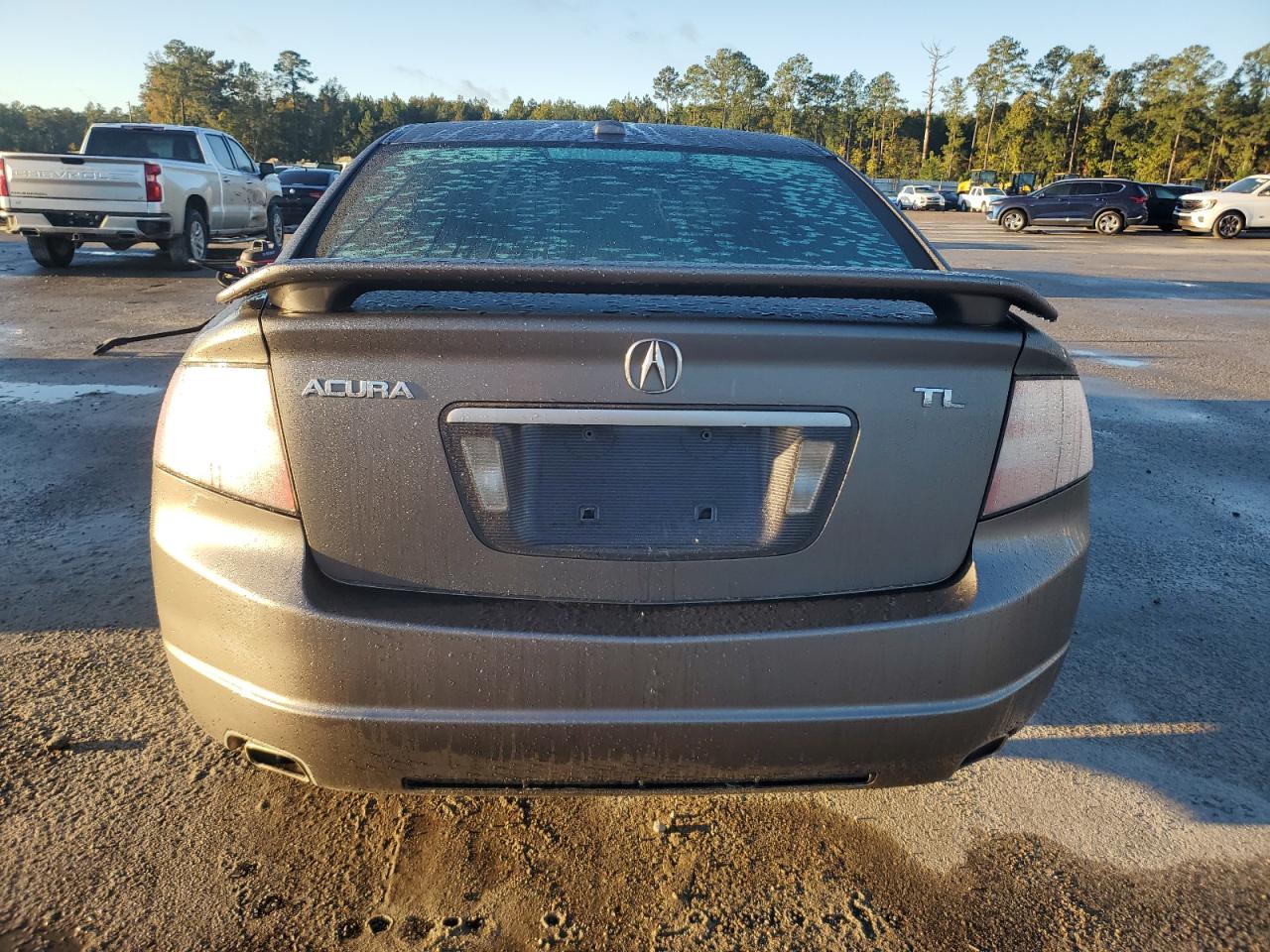 2008 Acura Tl VIN: 19UUA66248A036016 Lot: 90237475